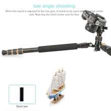 Load image into Gallery viewer, DCA5475_3.jpg@1e2528a916f74bebb0553f9eff4e03c4
