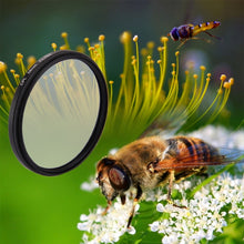 Load image into Gallery viewer, DCA5606_8.jpg@a0c363a323aef8155a4a859386c74ac9