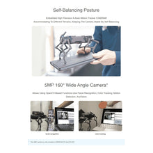 Load image into Gallery viewer, DIY0261_B7.jpg@cfc3488570128f3aa004fab31d1a5539