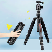 Load image into Gallery viewer, EDA0010089_6.jpg@315722ea055caa59a5175499494c8e51
