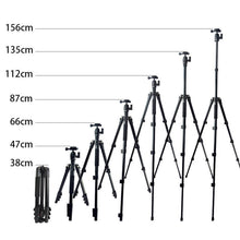 Load image into Gallery viewer, EDA0010145_3.jpg@4e8468b3db4040eefbd3f3888fbbf312