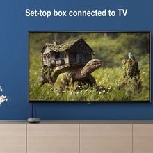 Load image into Gallery viewer, EDA002182503_B3.jpg@fcde14e57e8aab819887f718bba2ab72