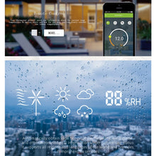 Load image into Gallery viewer, EDA0023683_3.jpg@d220b89e0d0986b00d5cbce491b1de09