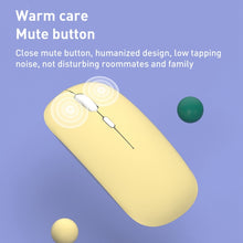 Load image into Gallery viewer, EDA003778601_B4.jpg@a4c274cb3d39949def5296d9a6e9a114