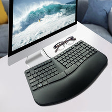 Load image into Gallery viewer, EDA0038064_4.jpg@fcec05833ee8551e6ce57417651364d9