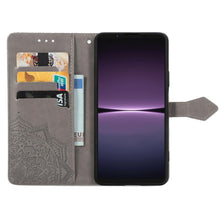 Load image into Gallery viewer, EDA004483805B_2.jpg@d5e5fc35749675f8cab1250064a10dfd