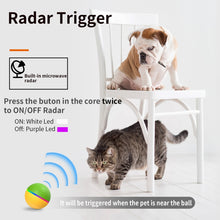 Load image into Gallery viewer, EDA0052704_B1.jpg@e0905e83a3e3e59f730635306b6cf1d0