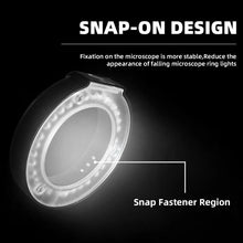 Load image into Gallery viewer, EDA0056754_4.jpg@ab009c0bb24d4f69b8ab65de95a1e673