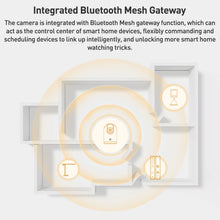 Load image into Gallery viewer, EDA006028701A_1.jpg@d819a893ba92d608cf6087cd6f0c22fd