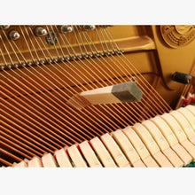 Load image into Gallery viewer, EDA006063_5.jpg@c76855d60443f6dda3790bf4bb1e0b26