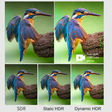 Load image into Gallery viewer, EDA0063635_B4.jpg@b16e18de0d3b1d6f6b1a59e6af9650ab