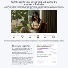 Load image into Gallery viewer, EDA0065020_B2.jpg@f4c3b1d5a3b9af135421d0a20410567f