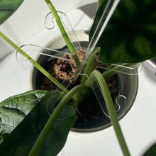 Load image into Gallery viewer, EDA006587601A_2.jpg@ff6389ca2a2eb603344fc3940f8d63e0