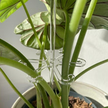 Load image into Gallery viewer, EDA006587601A_3.jpg@c03eb78a43416922cc9582273d3aea2a