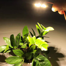 Load image into Gallery viewer, EDA007299701A_4.jpg@fd8083e0cc051b18369a736ead8ecaa6