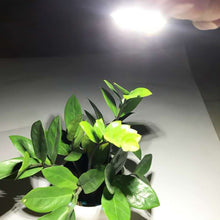 Load image into Gallery viewer, EDA007299701C_4.jpg@726396a8a16e0a1a347fc37d59fe3b76