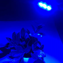 Load image into Gallery viewer, EDA007299701D_4.jpg@7b477ff5ad1944e060399f0432e56fb5