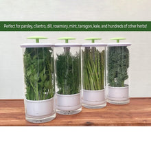 Load image into Gallery viewer, EDA0073731_B7.jpg@6788be87bf154efe6df4e061fec05730