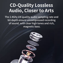 Load image into Gallery viewer, EDA0074026_B7.jpg@688246d03bbcaa06b9967f4dd1abc03c