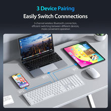 Load image into Gallery viewer, EDA007862801B_4.jpg@e1a62954c922cefcf75459d5724af6be