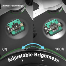 Load image into Gallery viewer, EDA0078681_2.jpg@c23275122df89f4e7ff1470d002c62d2