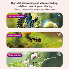 Load image into Gallery viewer, EDA0079596_B6.jpg@d704d4efeb076a0ad787d0db06cf50da