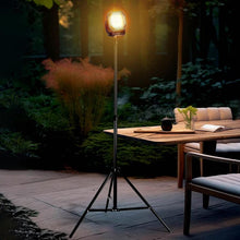 Load image into Gallery viewer, EDA007967501A_10.jpg@5ea4ccf6d3f8765303297544924953c0