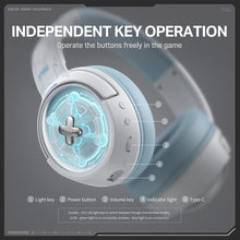 Load image into Gallery viewer, EDA008084501B_4.jpg@e11eabd1e77e2cea0d130e40d1f31239