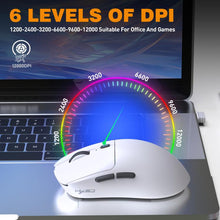 Load image into Gallery viewer, EDA008138401_B3.jpg@62d33803bd3f81d326d11e5a3c8e8ca6