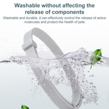 Load image into Gallery viewer, EDA0082195_B2.jpg@563bb505c98b800143d2ca8c3aaa39df