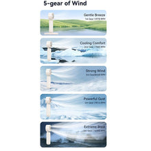 Load image into Gallery viewer, EDA0083886_B10.jpg@540a53ef00f4aa7cfb736bf1c45431a5