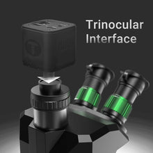 Load image into Gallery viewer, EDA0084308_2.jpg@ef0d921f3f0774adf4fb22686b08e79a