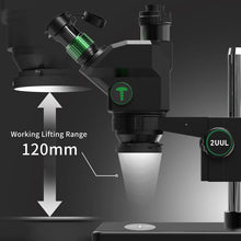 Load image into Gallery viewer, EDA0084308_7.jpg@b2ad13339c2da4bd280738b445186938