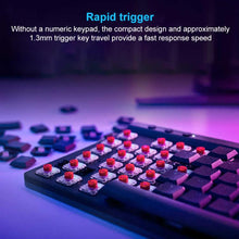 Load image into Gallery viewer, EDA0084581_B2.jpg@b65f187d790eeda88564cbeaa61a5d0e