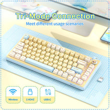 Load image into Gallery viewer, EDA008900601B_6.jpg@1a612eda9f969a5c31c62a926d80b39f