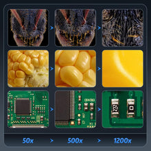 Load image into Gallery viewer, EDA0093274_B5.jpg@a203e367498e6aca4617fc30bdcccf11