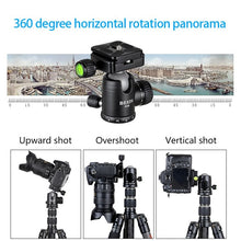 Load image into Gallery viewer, EDA009702_11.jpg@56e63eb309e280e2b34942fc57fa9af9