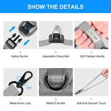 Load image into Gallery viewer, FA3001H_3.jpg@73f8ad4796ff1d2f2bb37250e487819d