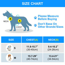 Load image into Gallery viewer, FA3002H_7.jpg@b117a44363e027f50cb7c960b6ab47eb