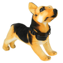 Load image into Gallery viewer, HC0010_10.jpg@f6971b20bbf3f8786a54817a00dad0a9