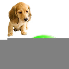 Load image into Gallery viewer, HC0117G.jpg@996d0669e95c2ba7d8089279c6a17970
