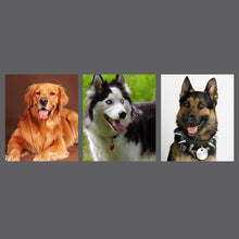 Load image into Gallery viewer, HC0817B_7.jpg@f8089d2771667cdd15376abc7ecb0f55