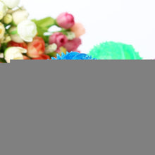 Load image into Gallery viewer, HC2154.jpg@c534d450f9c4dcf5cf3a978ce1c2cbed