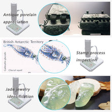 Load image into Gallery viewer, HC2977_5.jpg@024c5c04034791dc6a6b7f7626d06368