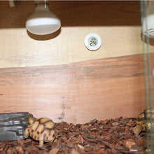 Load image into Gallery viewer, HC5568B_4.jpg@b3a55e75e695c4055ccde8204bcde5b9