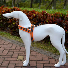 Load image into Gallery viewer, HC8050E_6.jpg@be5d85e1aca95275542fa6142c338686