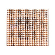 Load image into Gallery viewer, ICCP5702_1.jpg@9343295ec5a1458b9d8100f2c7ad7769