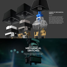 Load image into Gallery viewer, KB0144B_9.jpg@de02fc011eb1fcfe4da190f767c59e19