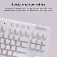 Load image into Gallery viewer, KB0598_3.jpg@c5d86d0570e29de68e2204f482cbd754