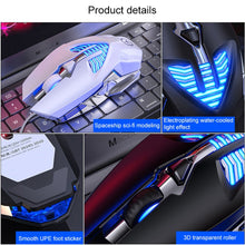 Load image into Gallery viewer, KB3699_B4.jpg@8e7a11c87f764b2aba60f77bb3720bd3